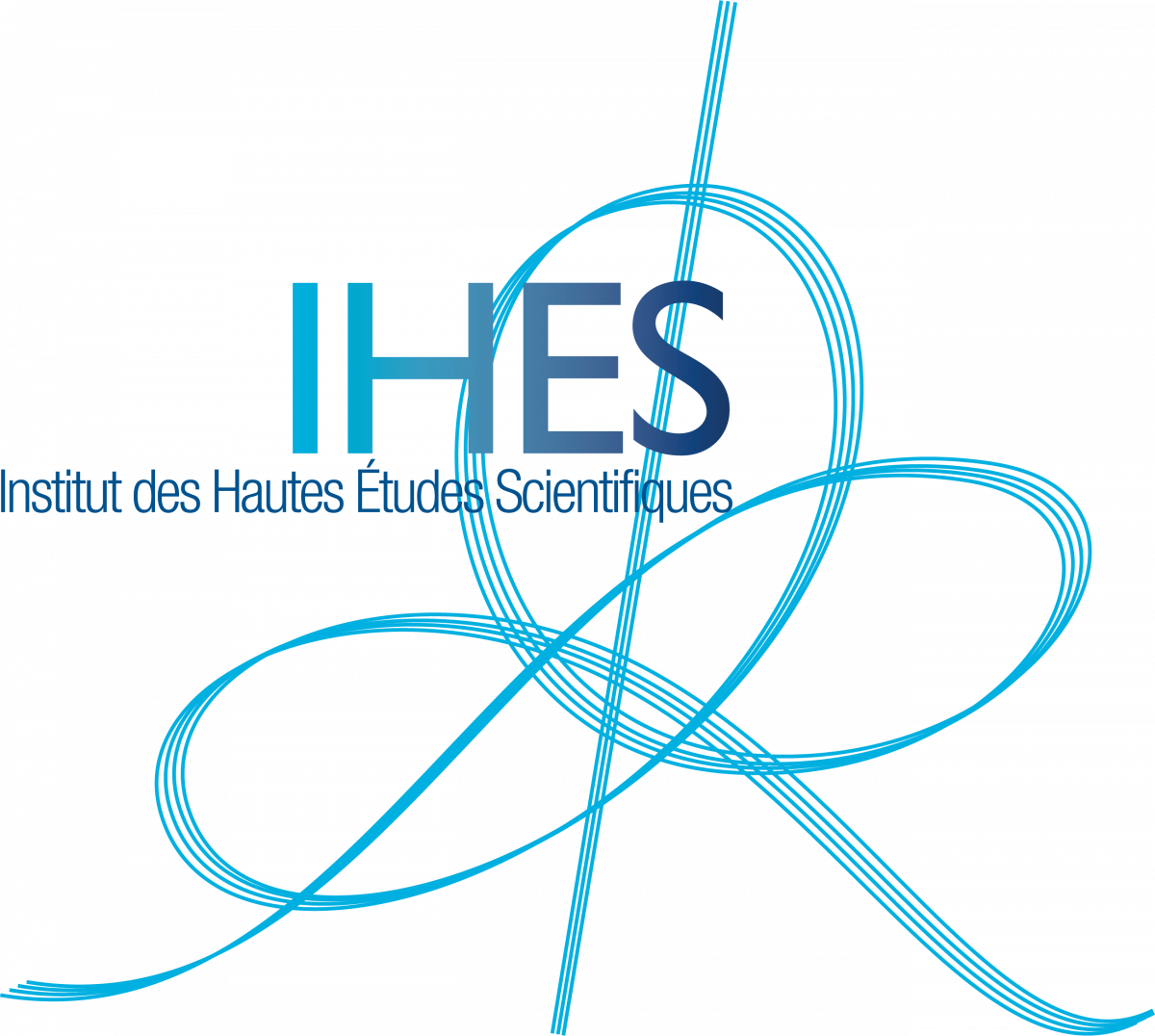logo of "Institut des Hautes Études Scientifiques "