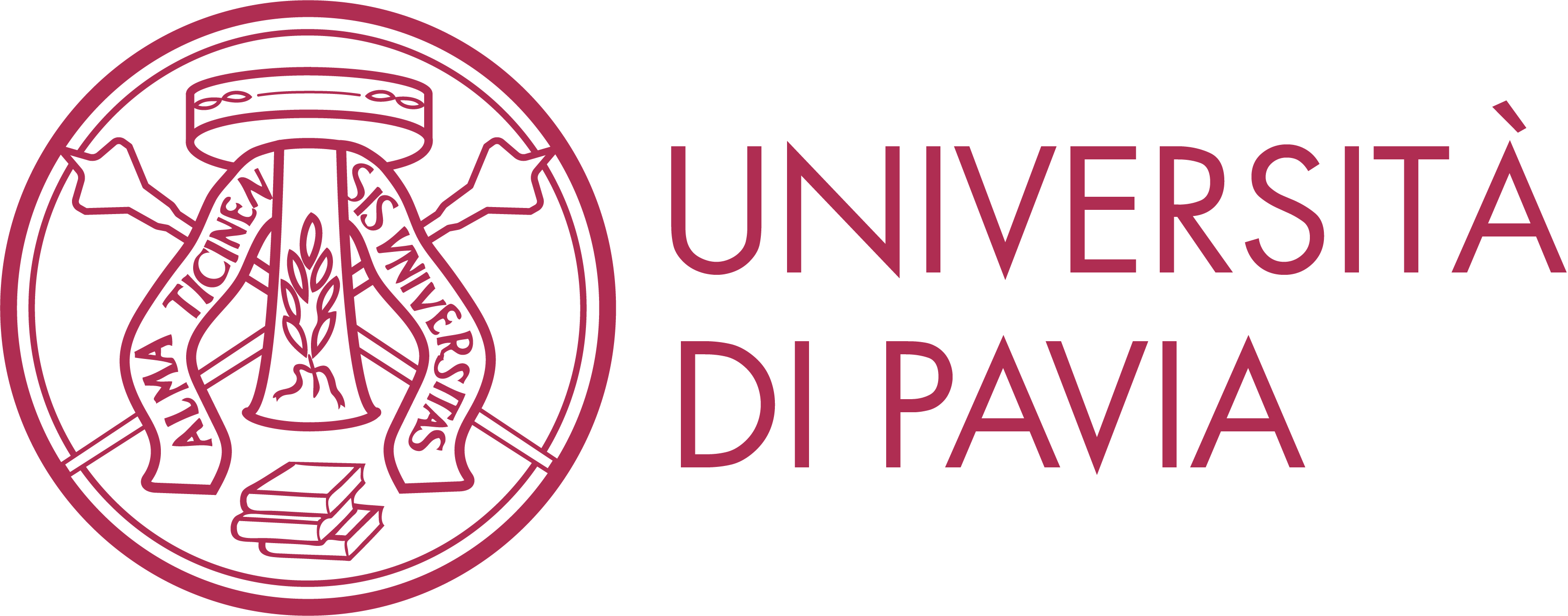 logo of "Department of Mathematics, University of Pavia"