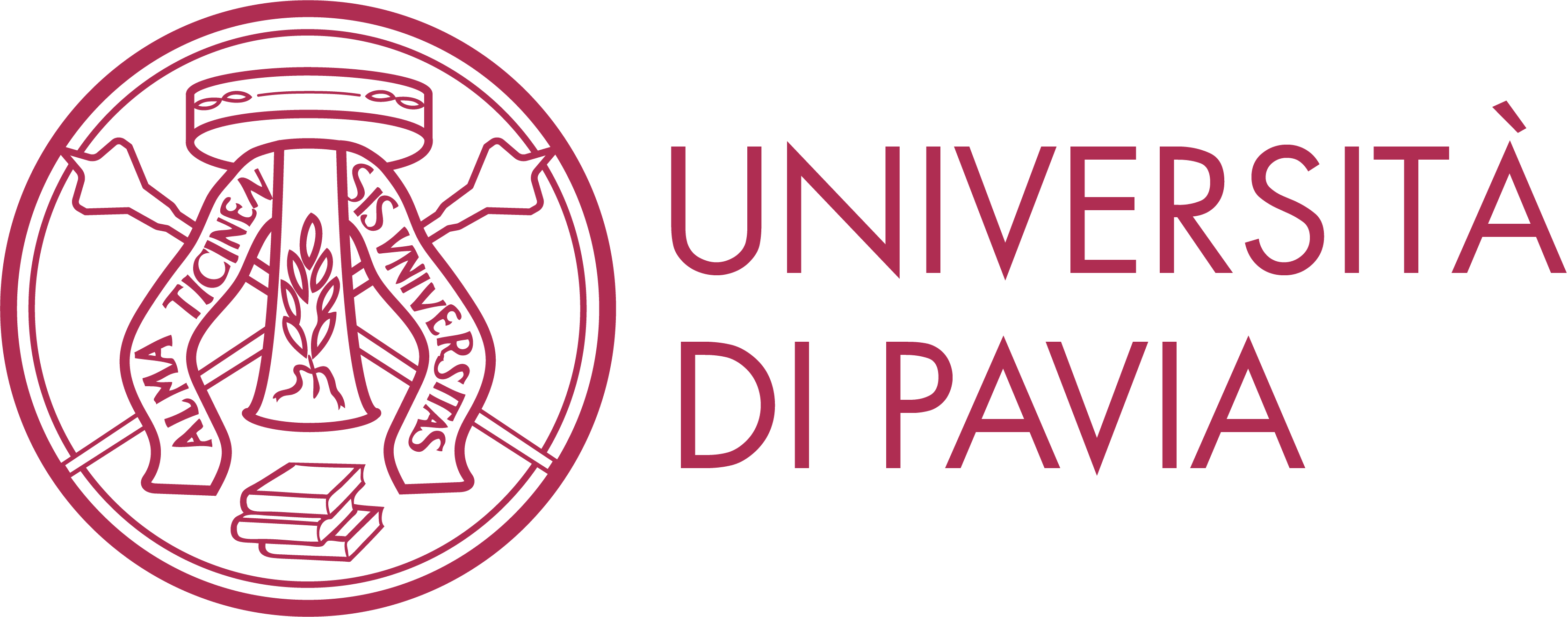 logo of "Department of Mathematics, University of Pavia"